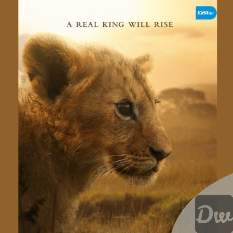Meet Kio: The Lion Cub On A Journey To Become King